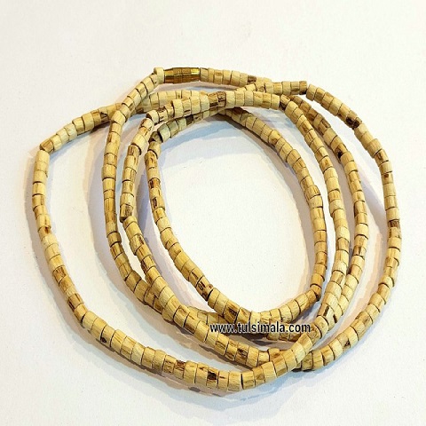 NM03